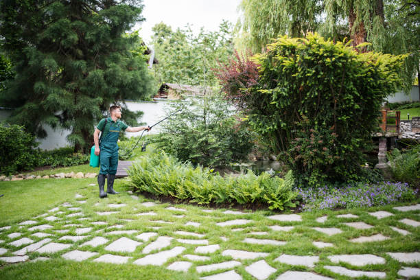 Best Local Pest Control Services  in Cynthiana, KY
