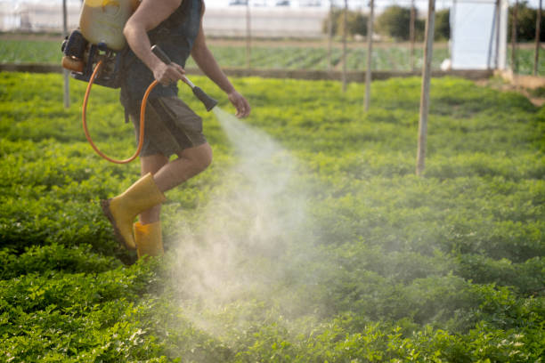 Professional Pest Control in Cynthiana, KY