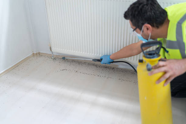 Best Pest Inspection Near Me  in Cynthiana, KY