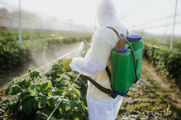 Best Best Pest Control Companies  in Cynthiana, KY